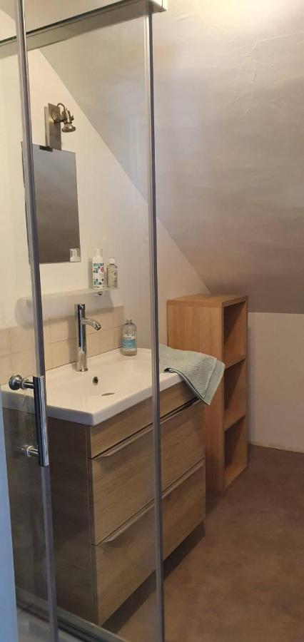 Joli Appartement De Caractere, Calme,Centre ルマン エクステリア 写真